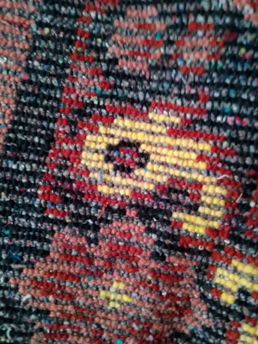 Два нови китеника