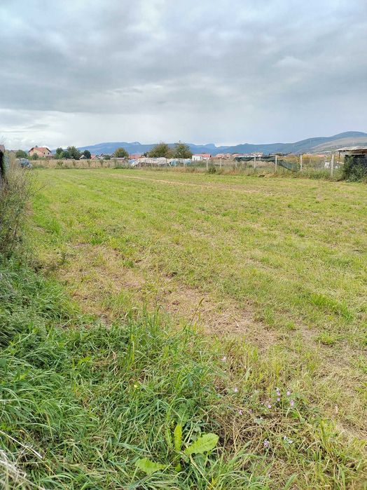 Vând teren intravilan