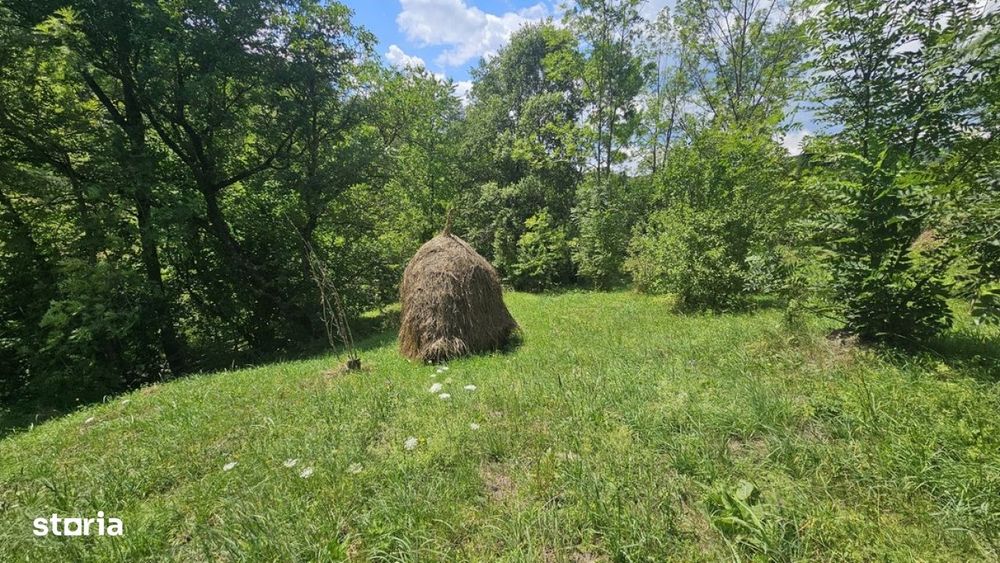 Teren de vanzare in Valea Doftanei