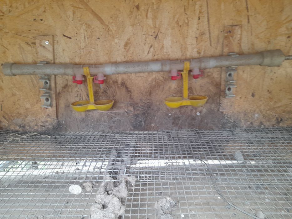 клетка для перепюлок срочно