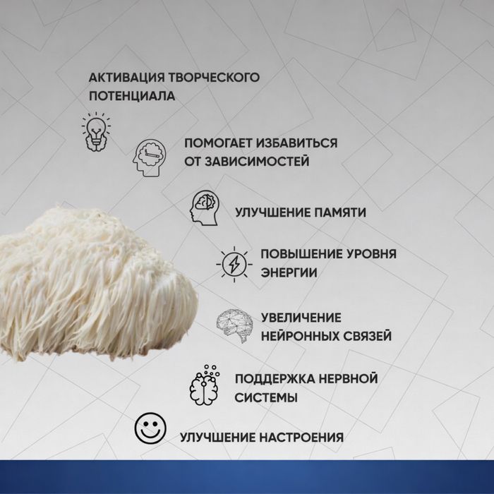 Ежовик в капсулах (премиум качества)