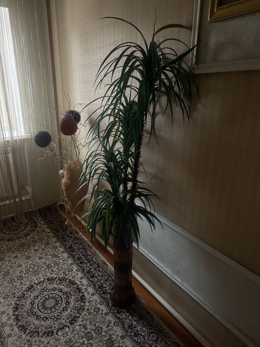Продам исскусивенное дерево
