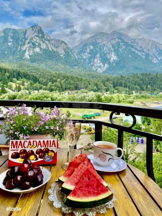 Vila Cartier Zamora//Busteni