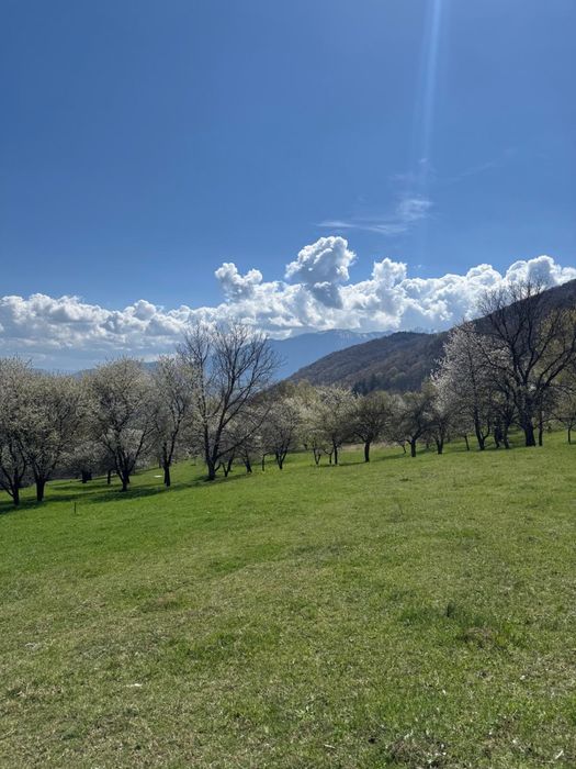 Teren in Bran Predelut la poale de munte intravilan
