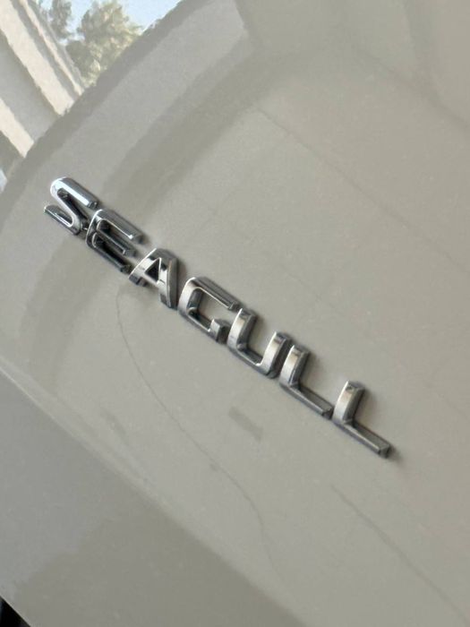 BYD SEAGULL 405 Km Flagship в наличии