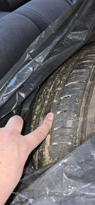 Шины Triangel летние