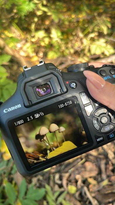 Фотоапарат Canon EOS 2000D + обектив 18-55mm IS II