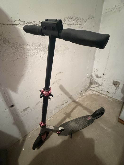 Trotinete si role