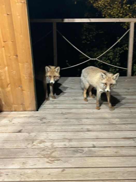 Уютный домик для двоих в горах