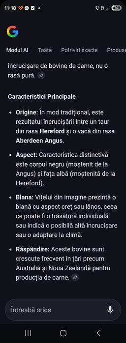 Vitea de carne de vânzare