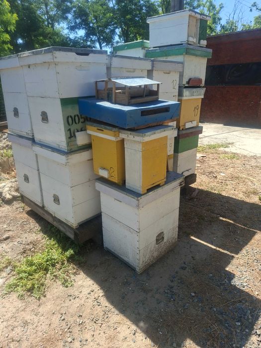 Inventar apicol format din lazi cu cat 3/4