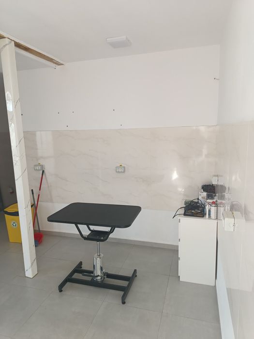 Spatiu comercial stradal