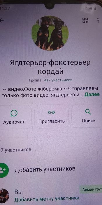 Яктерьер кабель вязка и продать