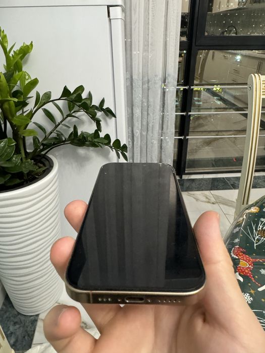 iPhone 16 pro 256 gb