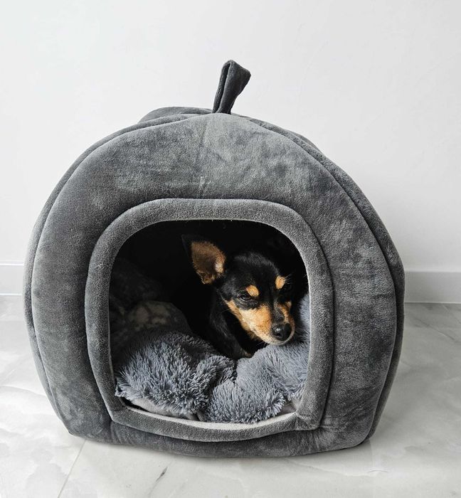 Нова къща за вашия любимец ,в комплект с мека възглавничка!