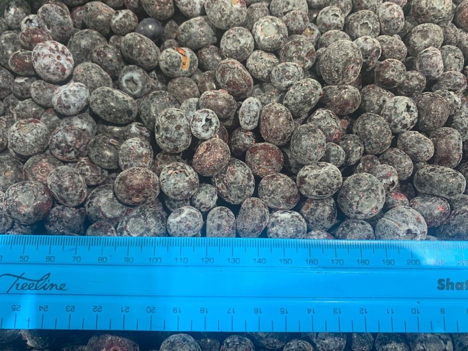 Голубика ЮАР замороженная