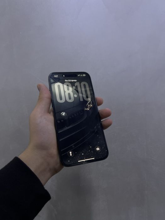 Iphone 14 pro max dual