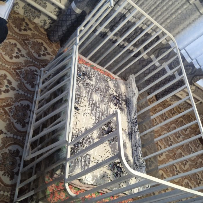 Belanchak bolalar uchun