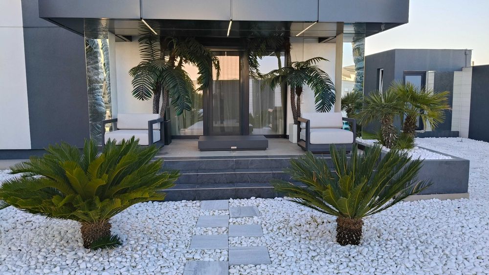 Palmieri rezistenti iarna 1000 disponibili pe stoc livrare rapida toata tara