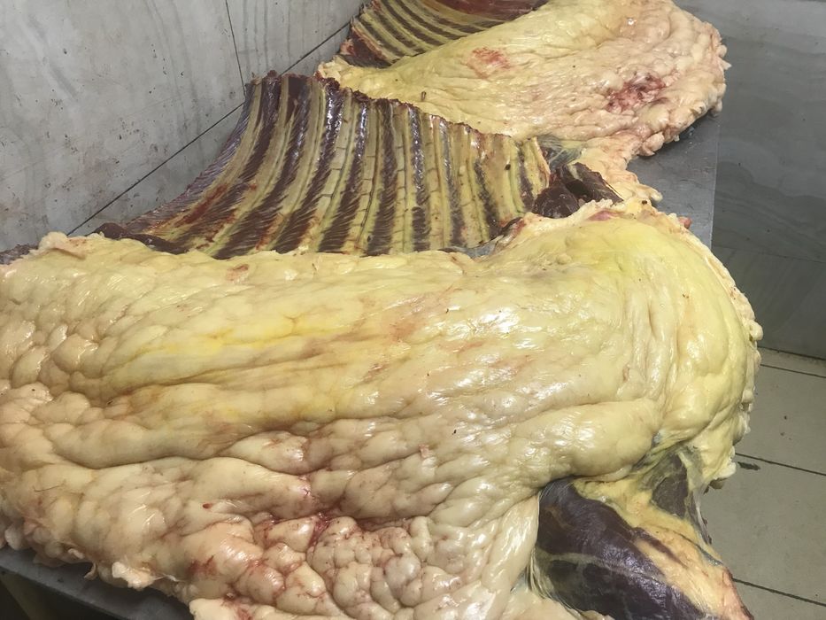 Продам мясо конины в любом количистве