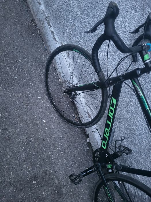 Cursiera  carrera wanquish