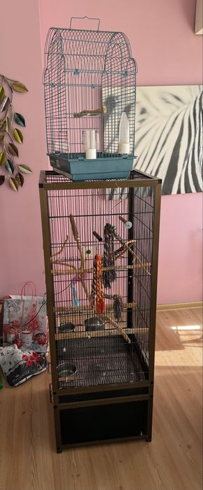 Две клетки и играчки