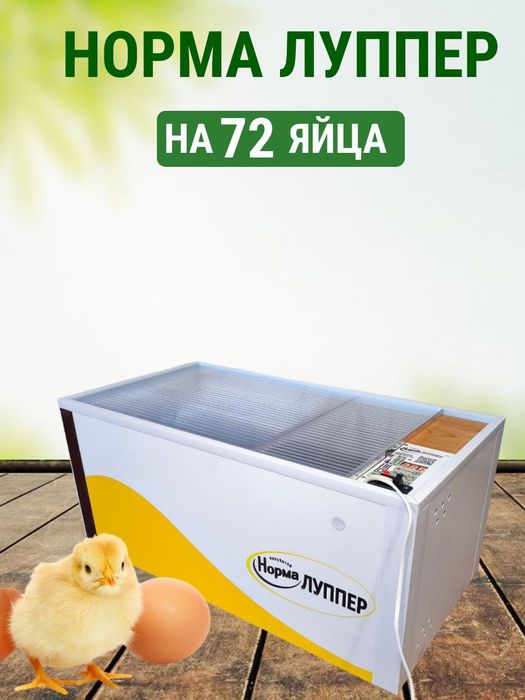 Ремонт инкубаторлар, Инкубатор жөндеу, брудер құрастыру,