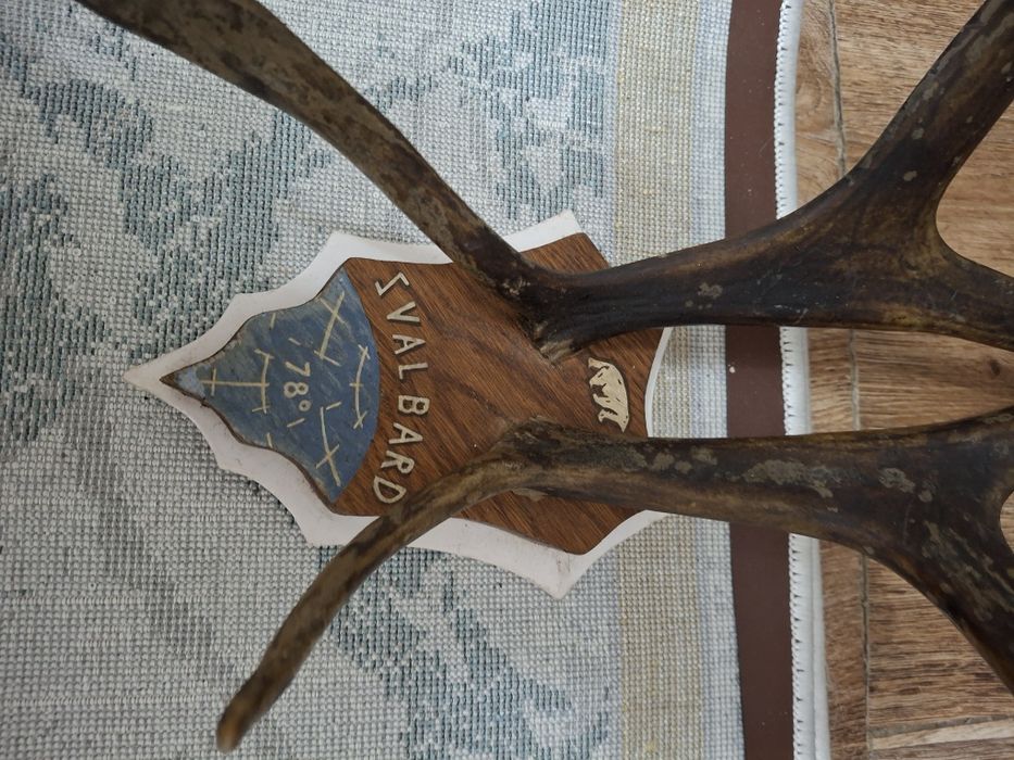 Продам красивые  р