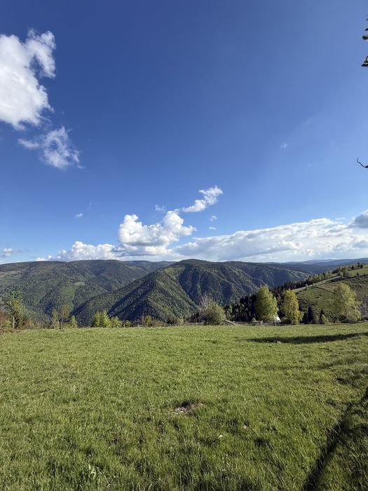 TEREN INTRAVILAN 6.000 MP | PRIVELIȘTE SUPERBĂ | ideal pentru cabane & investiții