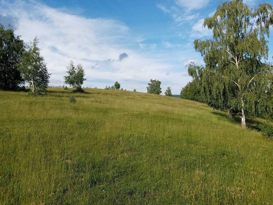 Vând teren Târsa, Bosorod