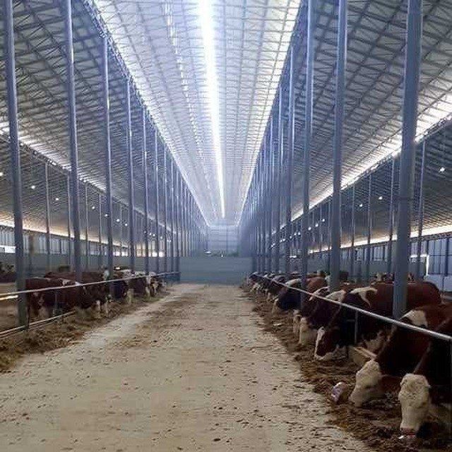 Do'stlar biz sizlar uchun xar xil turdagi tom