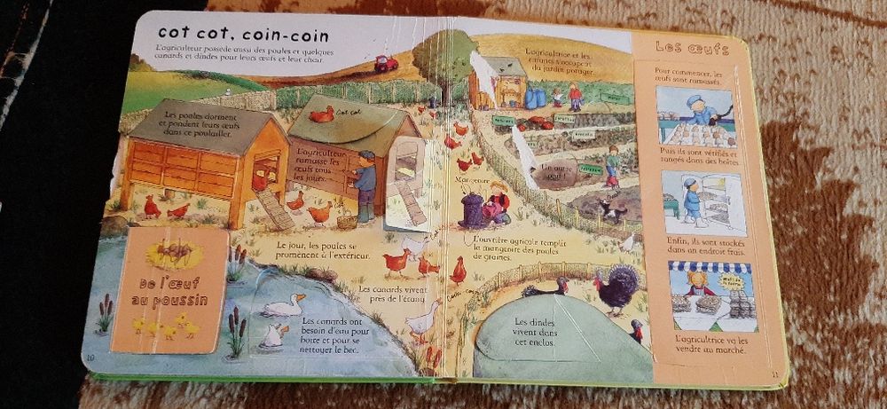 A la ferme Usborne 30 lei