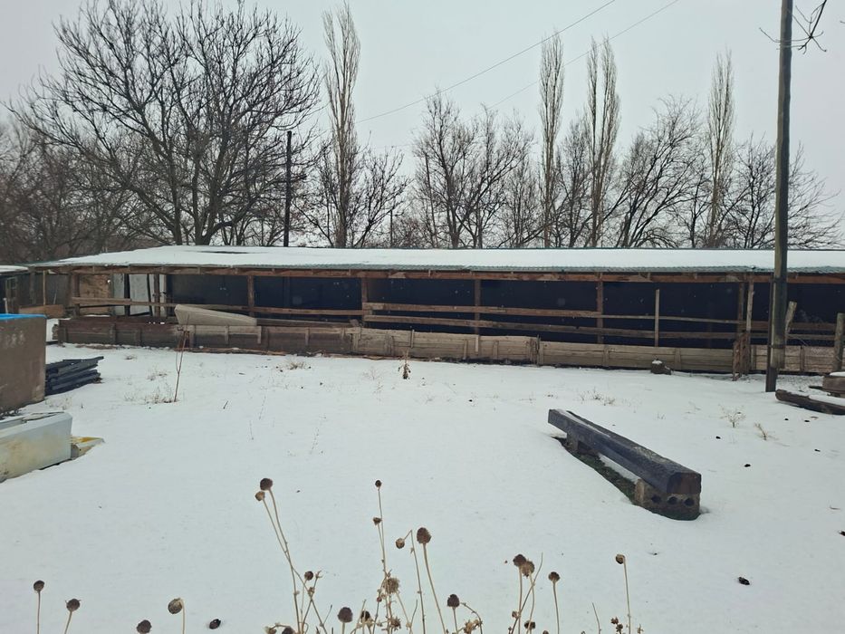 Дом фазенда кой кора