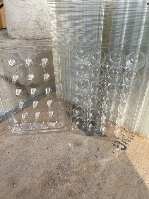 Cofraje oua prepelita