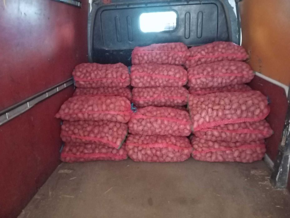 Cartofi samanta rosu si albi