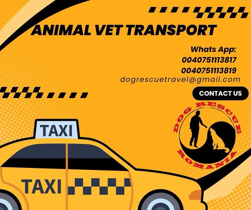 Transport Caini si Pisici intern/international