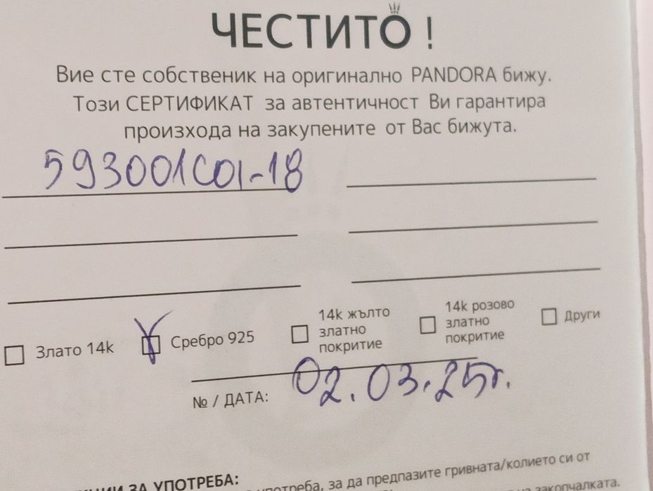 Сребърна нова гривна на Pandora