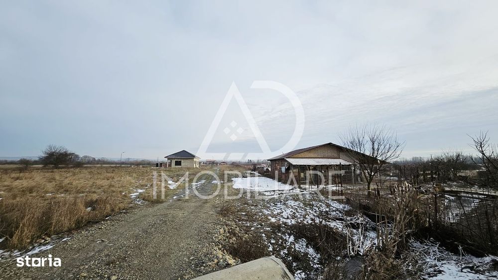 Teren de Vânzare în Turcinesti