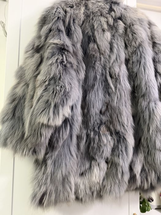 Hsins blana vulpe polara