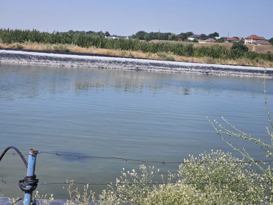 Продаётся яблоневый сад!