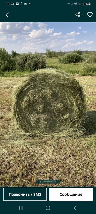 Продоется сено рулонах