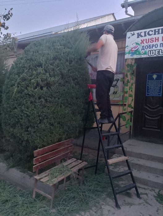 Archa qirqAman xivo boylab