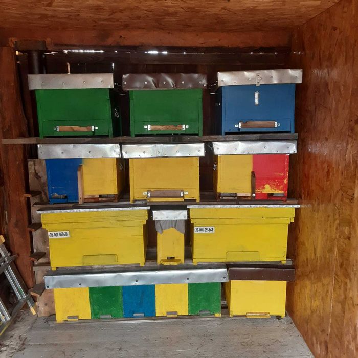 Stupi de 12 rame preț 220 lei !