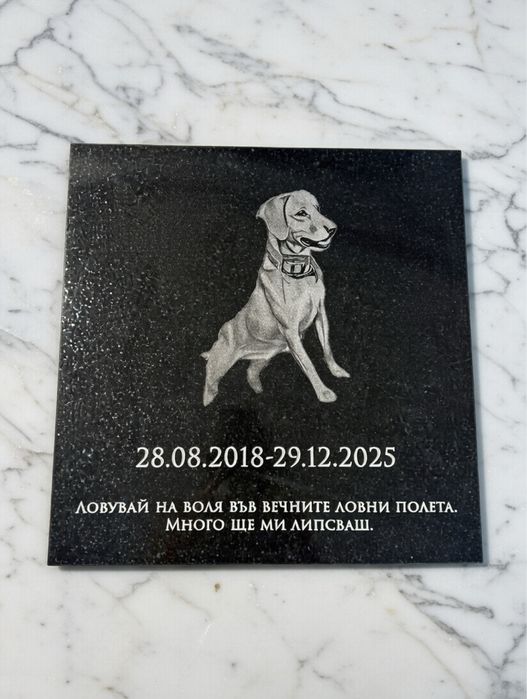 Персонализирана надгробна плоча за домашни любимци със снимка