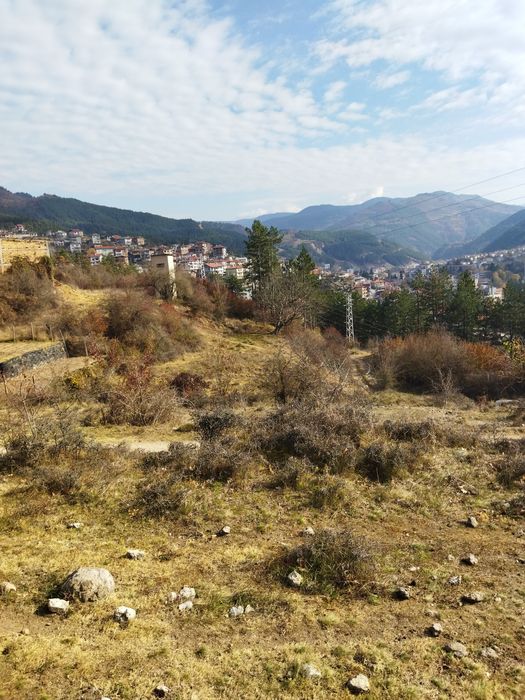 Продава се Парцел в Девин - 30000 кв.м за 42 €/кв.м - Снимка #7