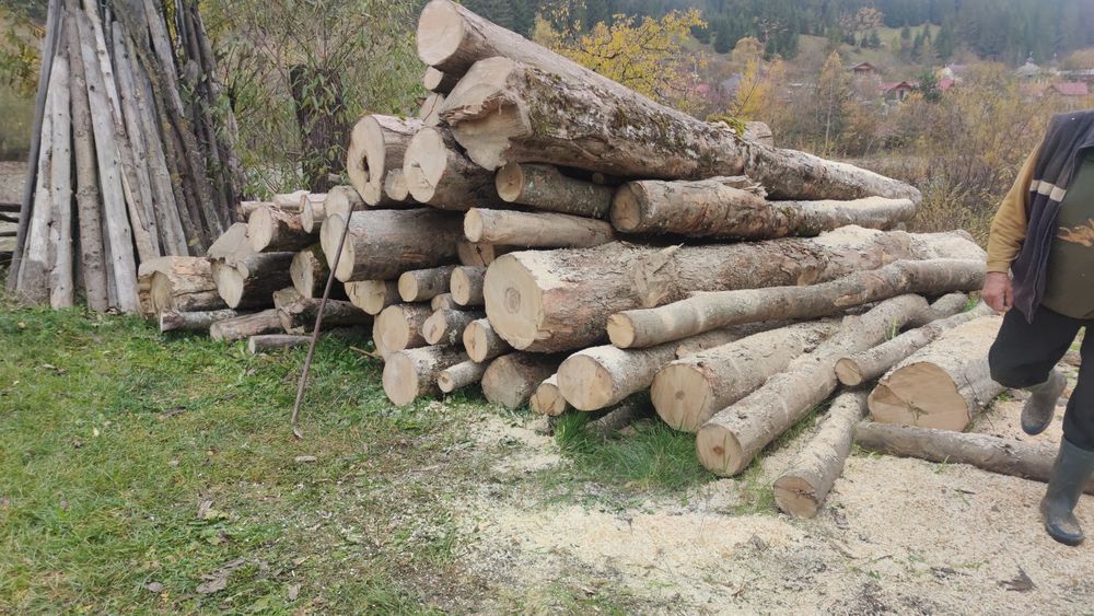 Lemne de foc fag, carpen, stejar, tei