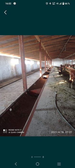 Фазенда в аренду