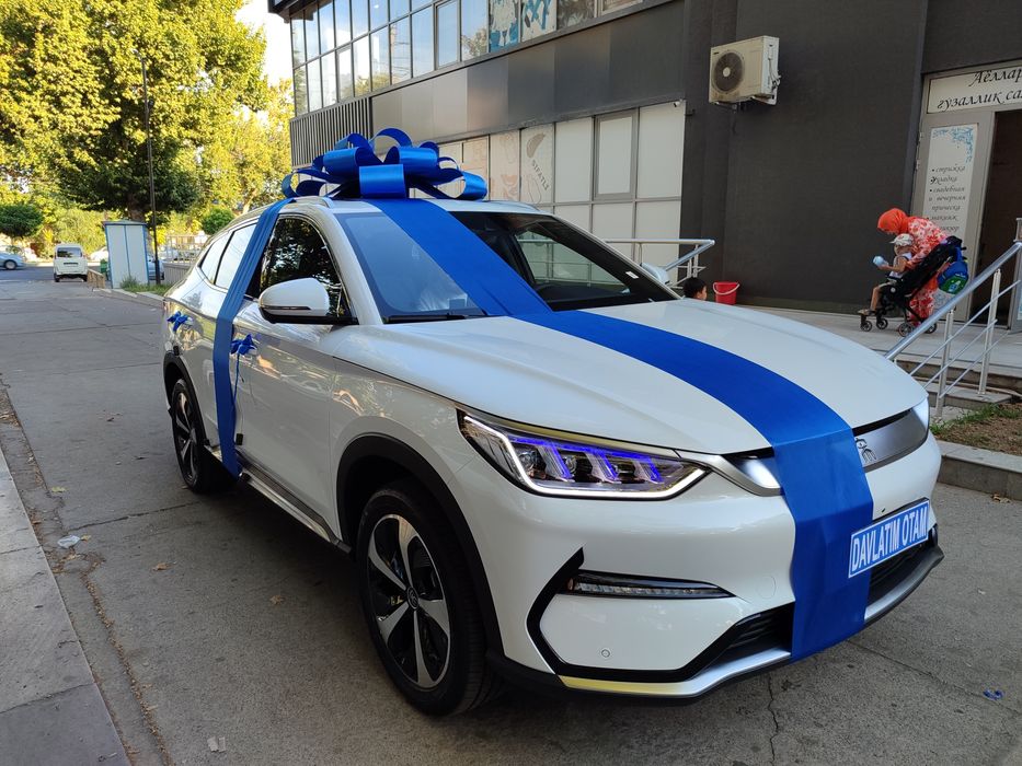 Бантик бант lenta, avtobantiki