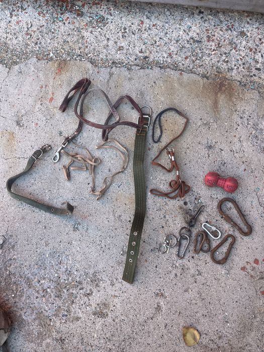 Цепи для собак, и разные принадлежности