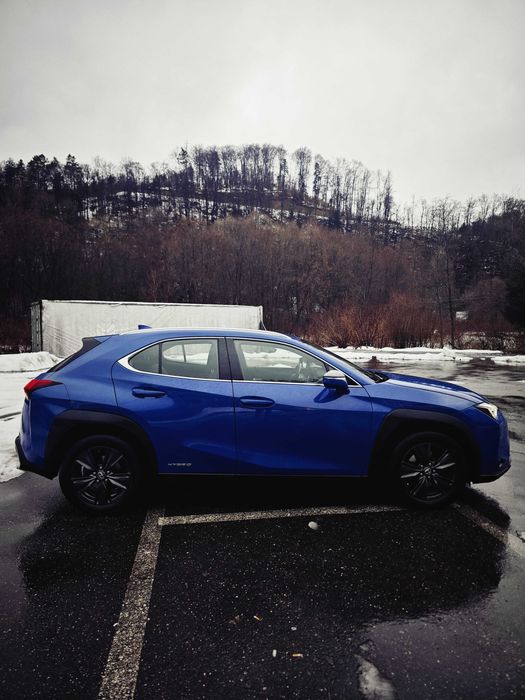 Lexus UX 250h Hybrid, Istoric reprezentanța, Proprietar